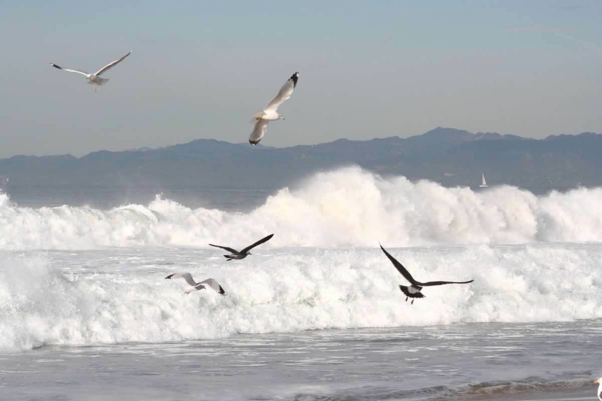 Pacific Ocean waves South Bay LA - California coastal real estate